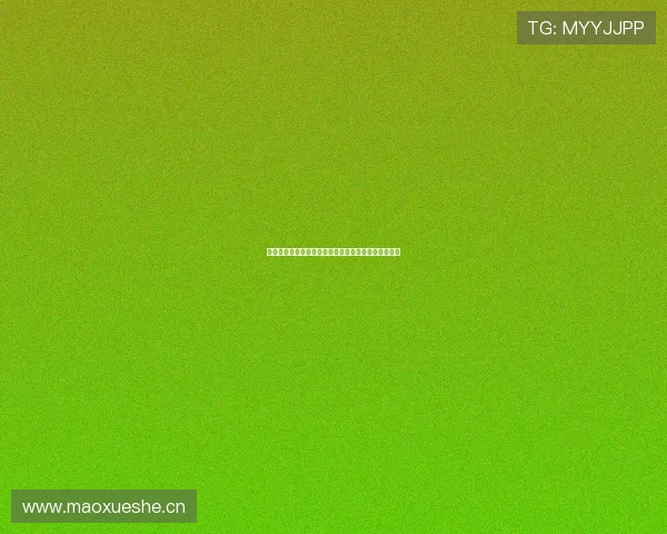 黑白体育直播官网下载最新版本一键畅享高清赛事体验